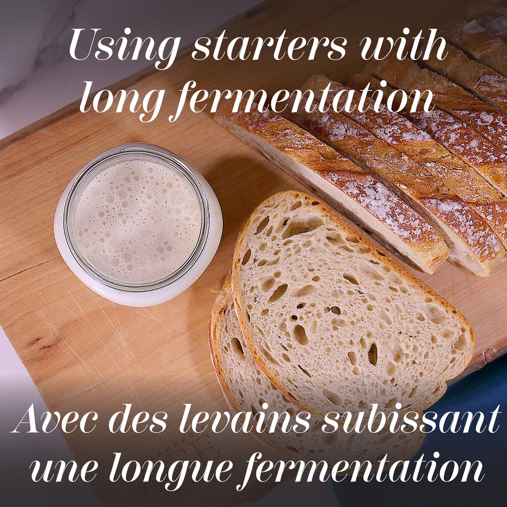 MULTIGRAIN PROTEIN SOURDOUGH BISTRO