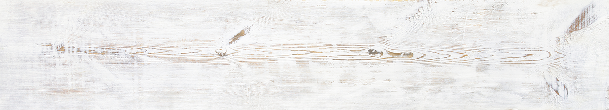 Home page – ACE Bakery®
